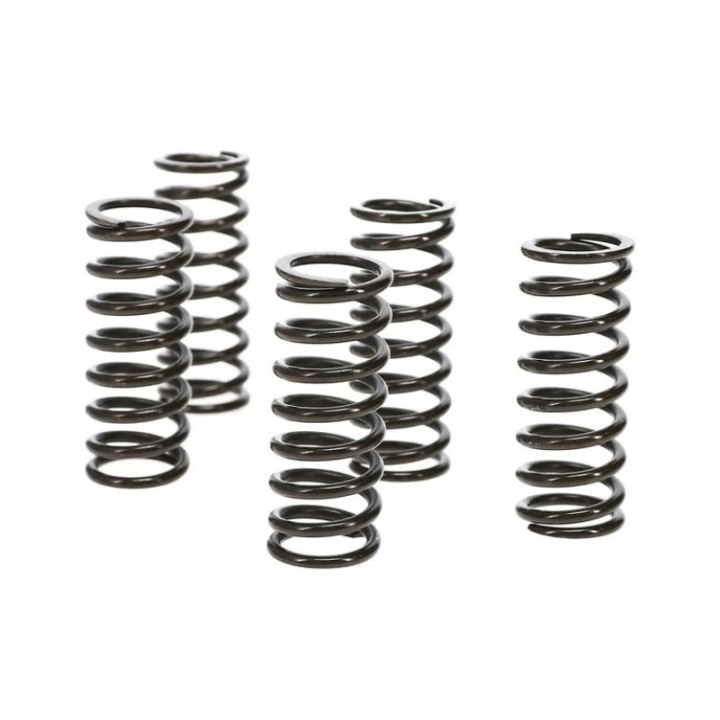 Wiseco Clutch Spring Kit Honda TRX400EX/X99-14 Clutch Basket