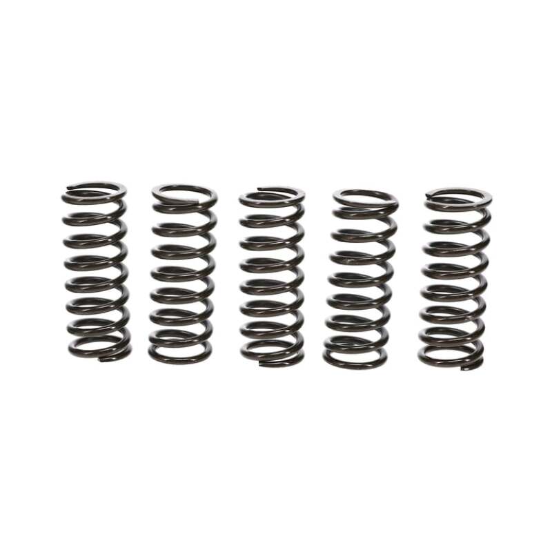Wiseco Clutch Spring Kit Honda TRX400EX/X99-14 Clutch Basket