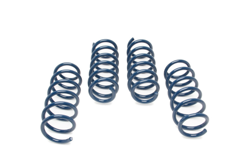 Dinan 18-23 BMW M550i xDrive (G30) Performance Spring Set