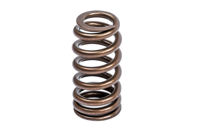 APR Audi/Bentley/Lamborghini/Porsche/Volkswagen Valve Spring Kit - Single
