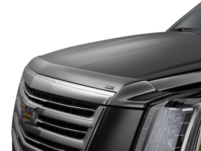 WeatherTech 22-25 Ford F150 Hood Skin Protector - Black